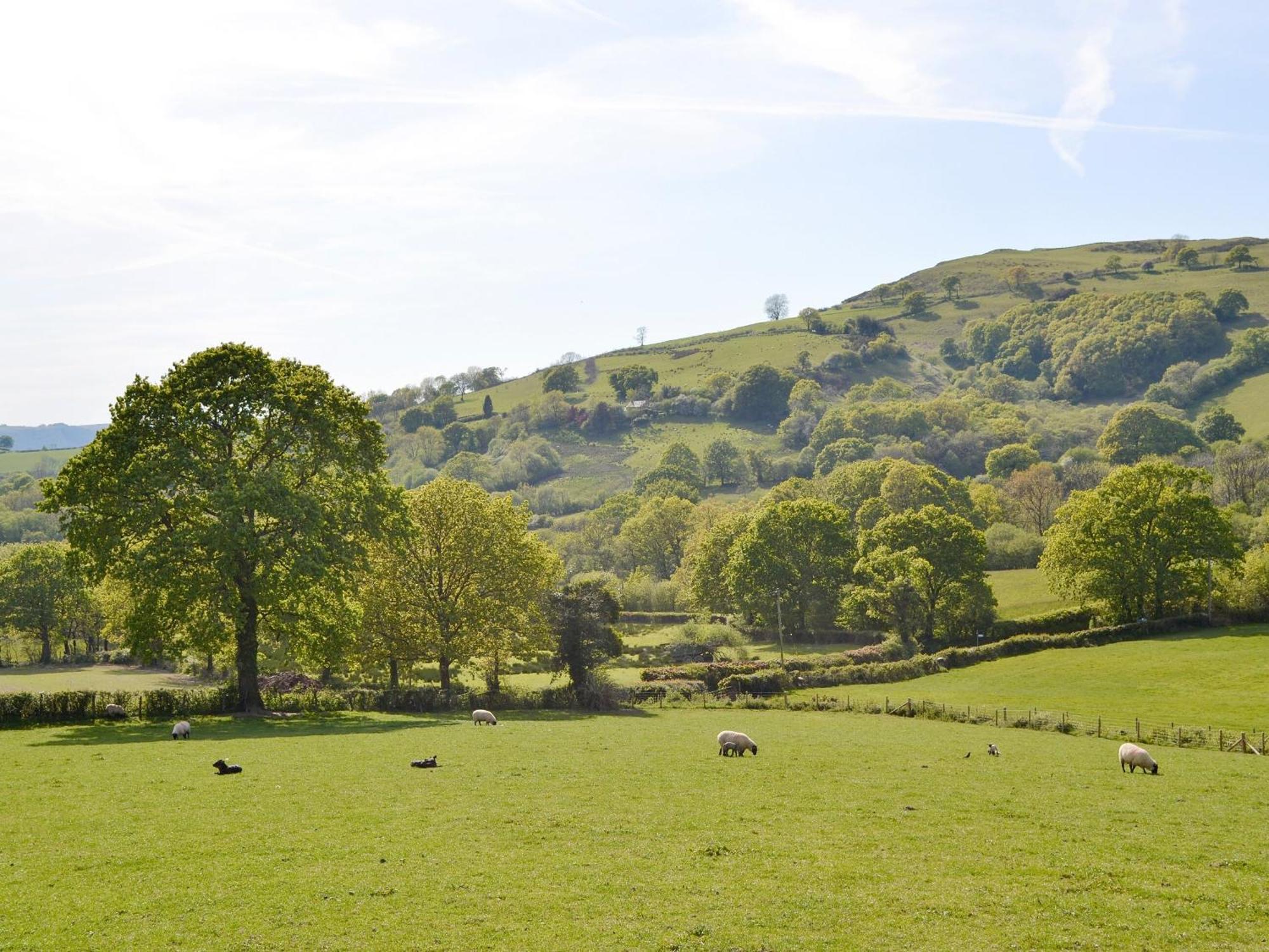Maes Y Bryn Farmhouse Llanwrda Exterior photo